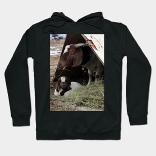 Baby and Mom Hoodie